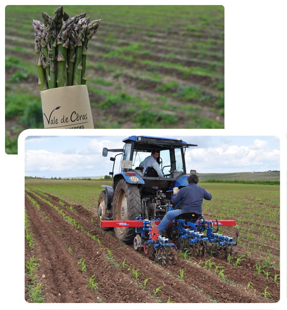Agro-Sanus – Assistência Técnica Em Agricultura Biológica Lda Agro-Sanus – Assistência Técnica Em Agricultura Biológica Lda
